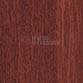 PREMIUM LAMINATES - WOODGRAINS COLORS