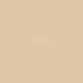 STANDARD BEIGE: #899